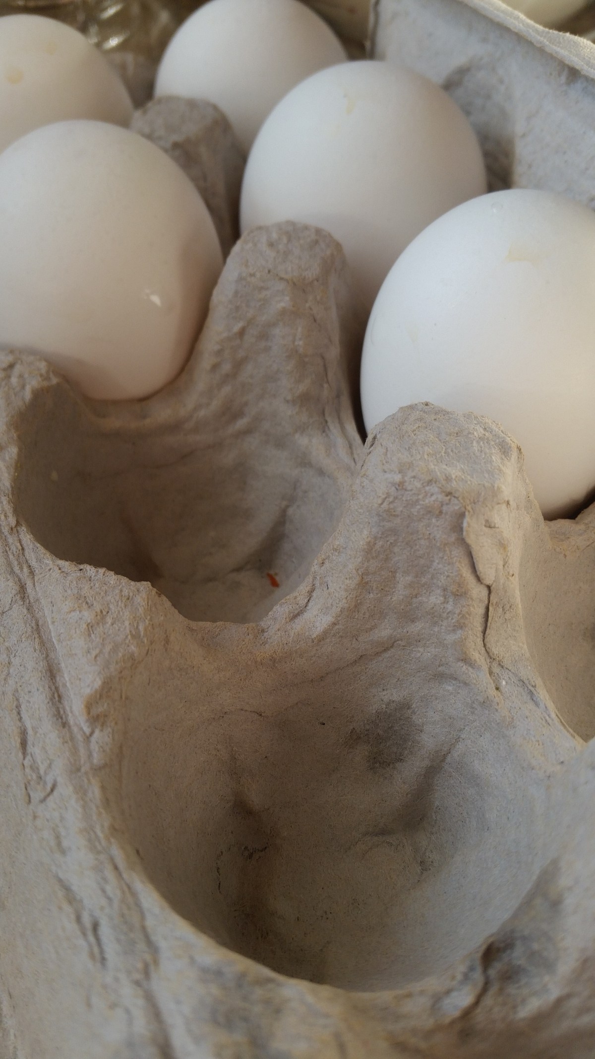 tmp_25843-img_20170108_102700_4631067401932